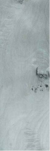 S422 Silverwood Silver Whirls 2440X1220 mm Veneer - 4 mm