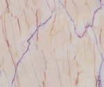 HG Marble & Stone Laminate 8x4 ft High Gloss 3.25 mm - SD 3006
