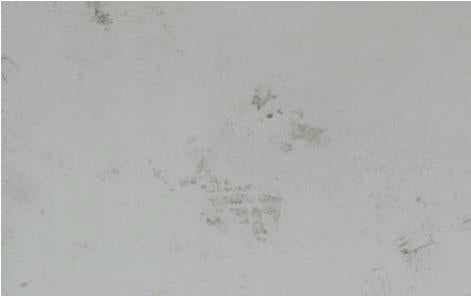 HG Marble & Stone Laminate 8x4 ft Texture 1.25 mm - SD 4019
