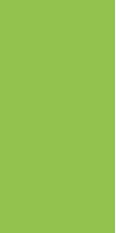Parrot Green Plain Laminate 8x4 ft Suede 1 mm - SF 1020
