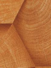 Malabar Yew Wood Laminate 8x4 ft Suede 1 mm - SF 1992