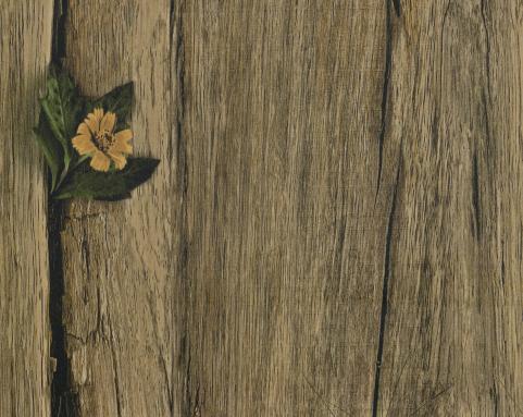 Montana Wallnut Wood Laminate 8x4 ft Suede 1 mm - SF 5128