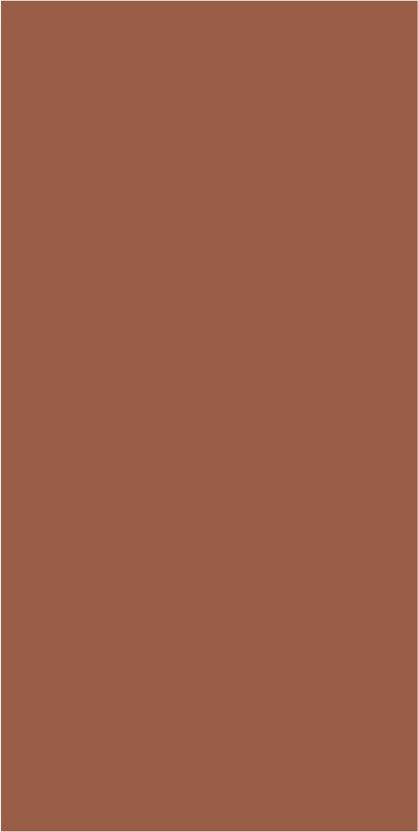Tabasco Plain Laminate 8x4 ft Super Matte 1 mm - SMT 213
