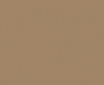 Beaver Brown Plain Laminate 8x4 ft Texture 1 mm - STN 919