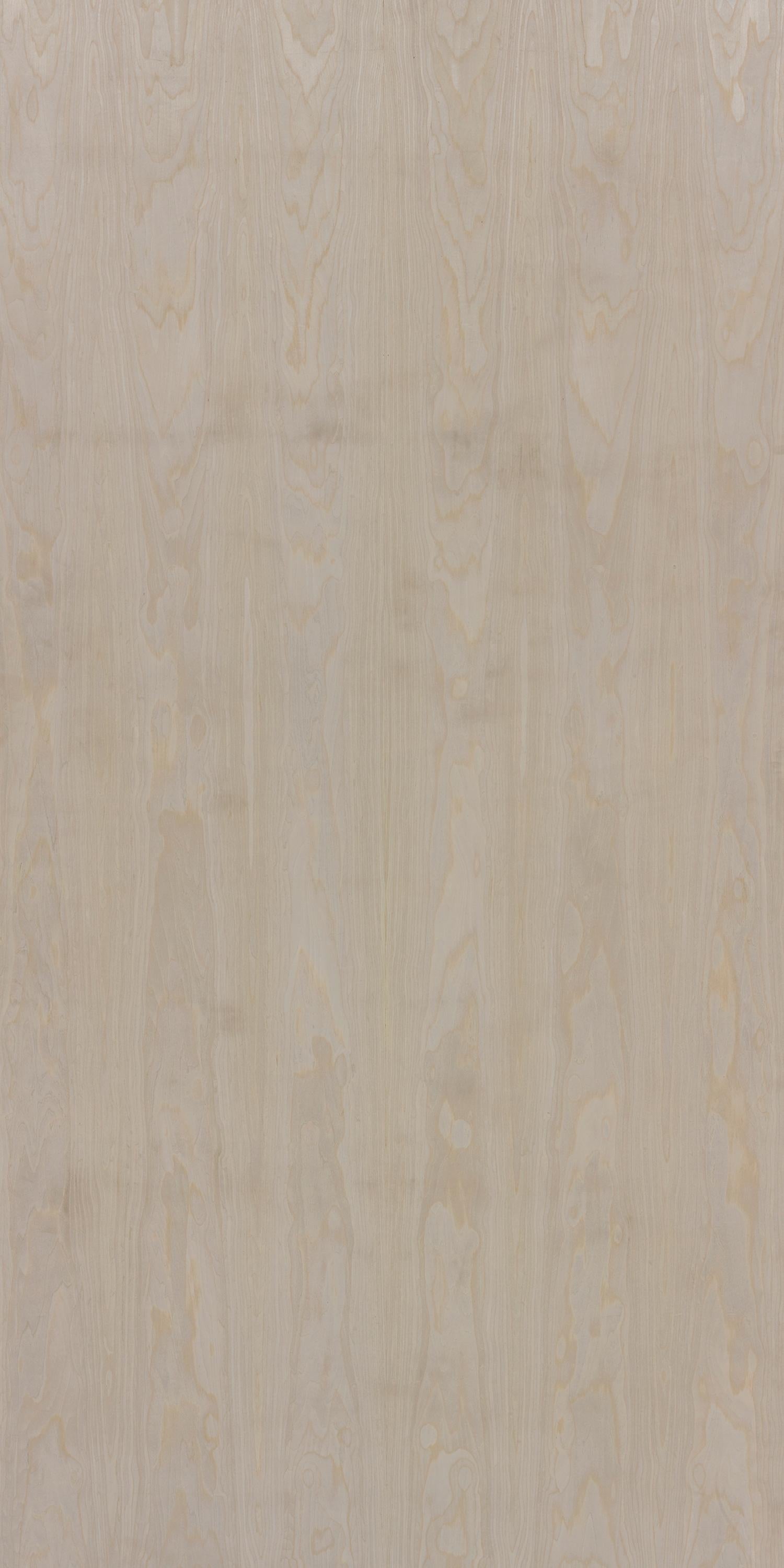 Satin Maple Crown F977 Understated 2440x1220 mm Veneer - 3.5 mm