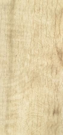 Silvia Natural Stone Veneer 8 Ft x 4 Ft Translucent - 2 mm