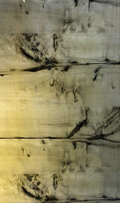 Spalted Maple Grey 8 ft x 4 ft Wooden PU finish Veneer - 1.5 mm