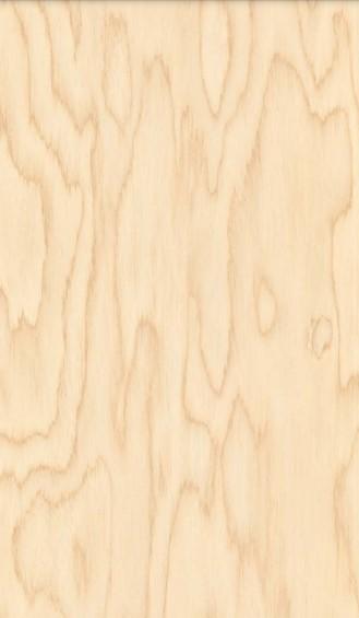 Cream wood grain laminate with textured birch pattern and natural veining details.