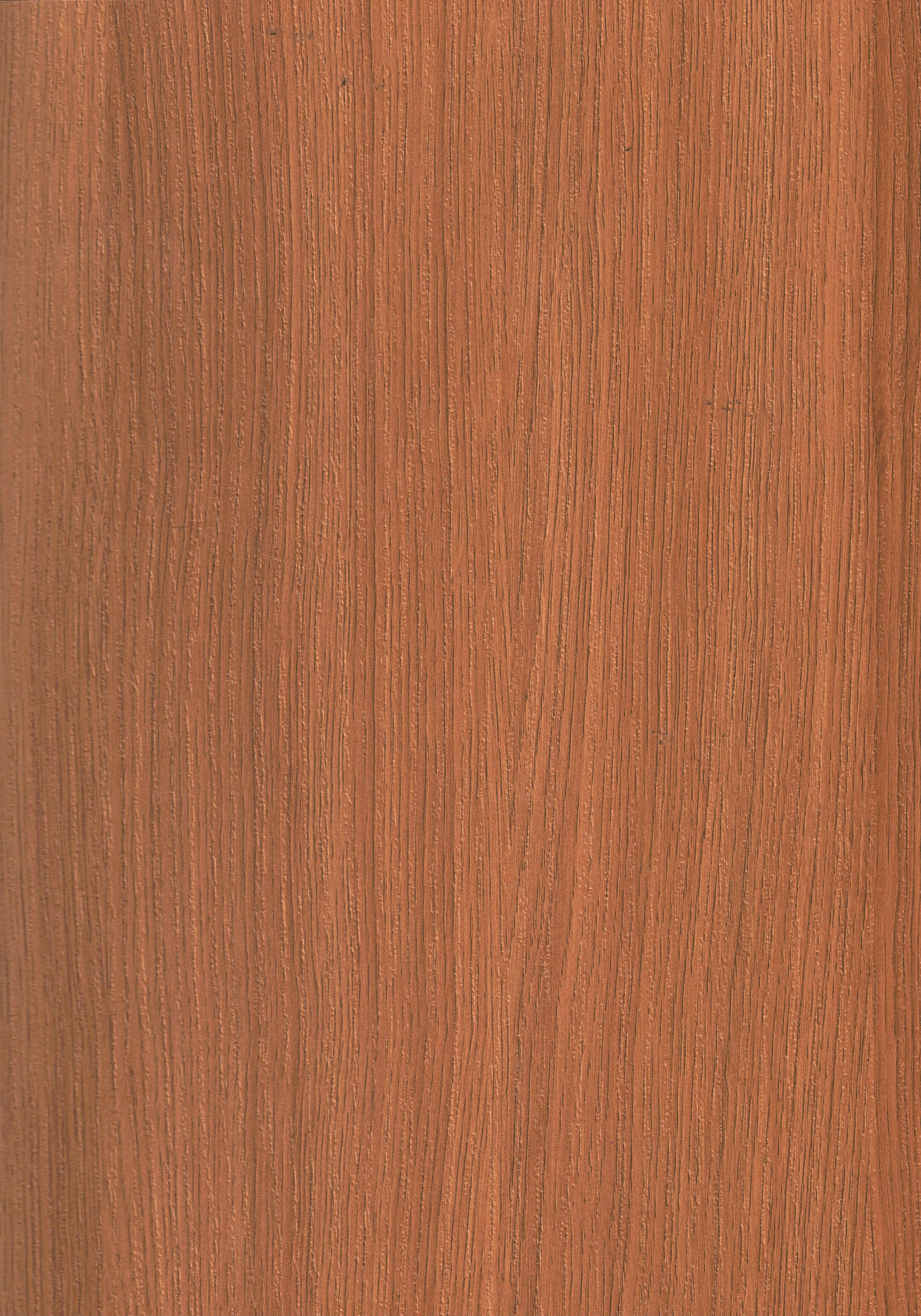Tasmania Oak Wood Laminate 8x4 ft Texture 1 mm - TO 554