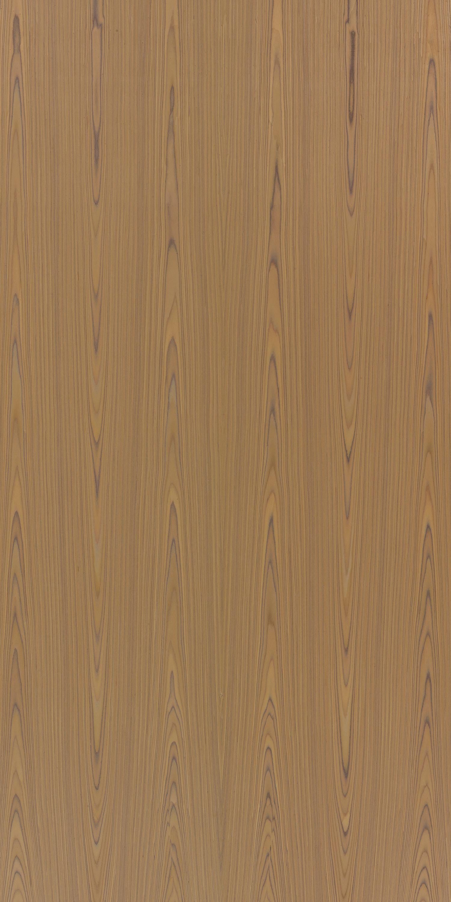Teak Veins Crown F641 Teak 2440x1220 mm Veneer - 3.5 mm
