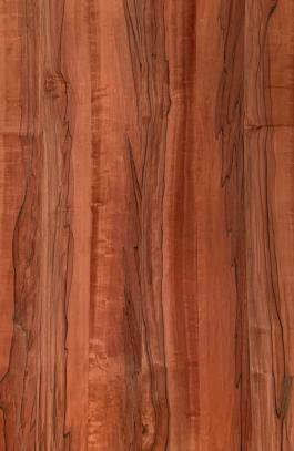 Tineo 2440x1220 mm Silicon Natural Veneer - 3.7 mm