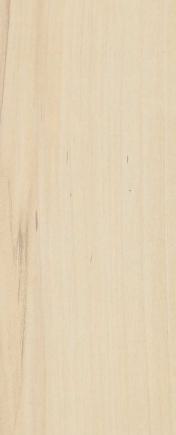 Regnus Mild Wood Laminate 8x4 ft High Gloss 0.8 mm - UG 6678