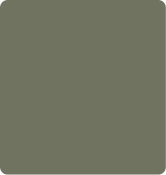 Pistachio The One Plain Laminate 8x4 ft Matte 1 mm - UL 650