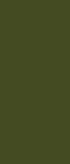 Watwin 6H Antiscratch Acrylic 8x4 ft High Gloss plain colors laminates Green Watwin_84829
