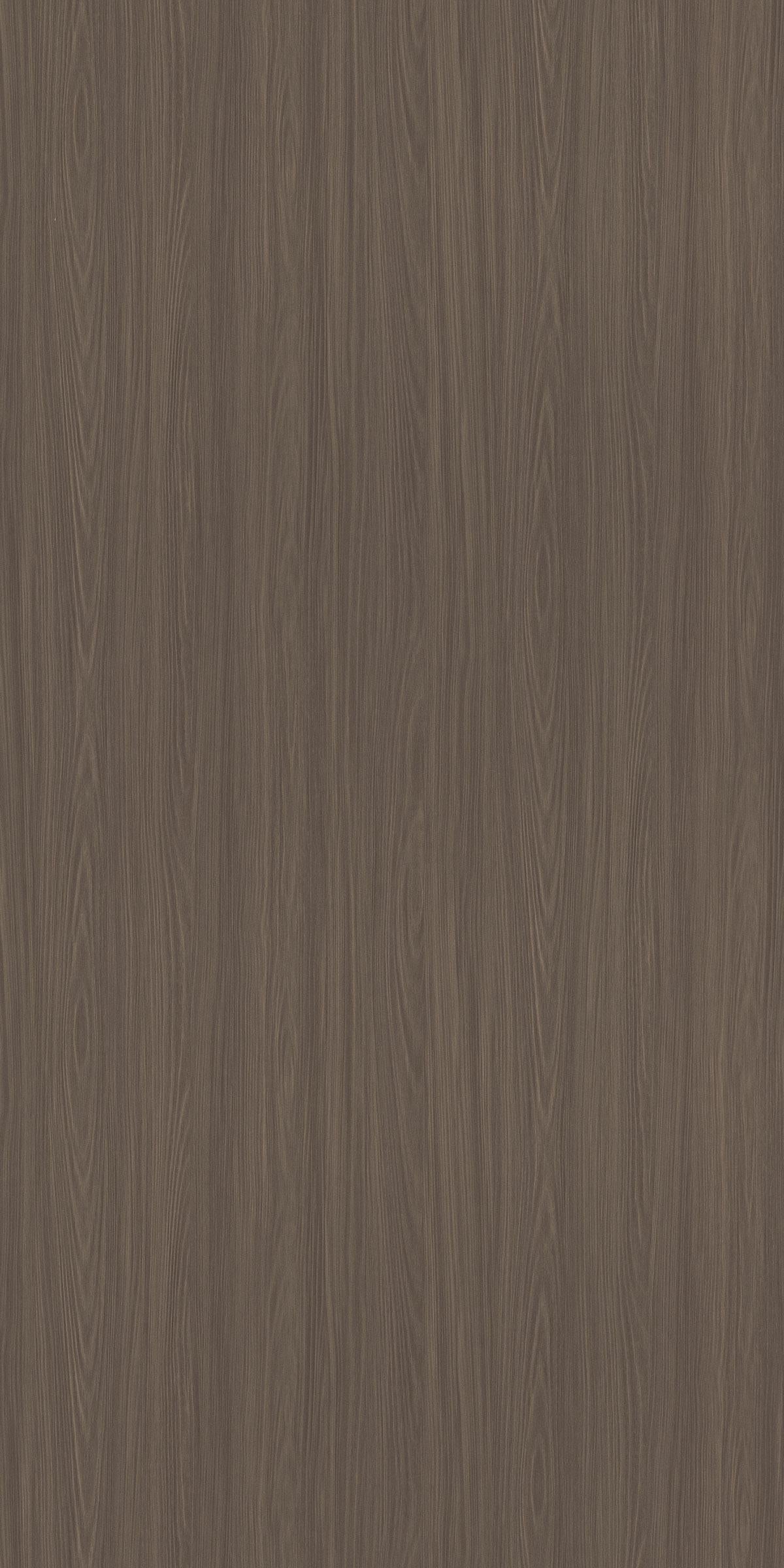 Rainy Oak Grey Wood Laminate 8x4 ft Texture 1 mm - ZZ 7075