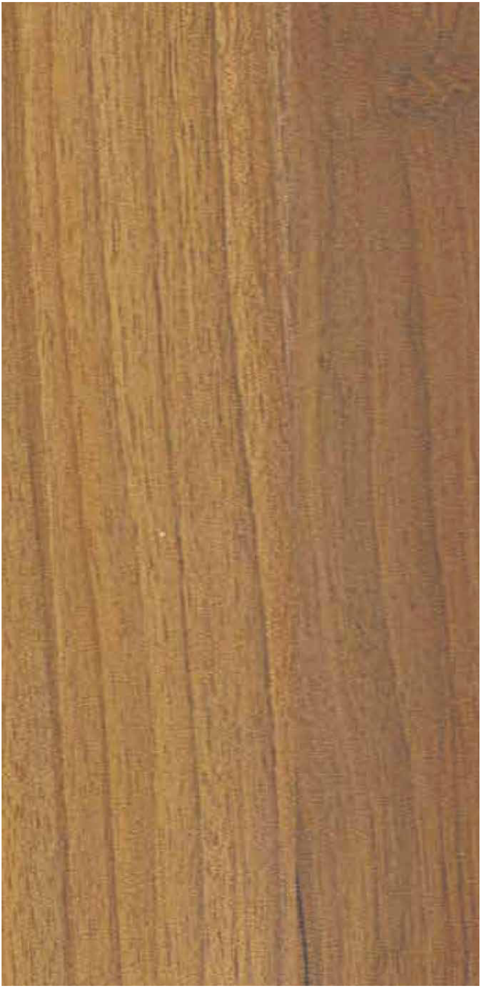 Lyon Walnut pre-laminated MDF board by Century Prowud