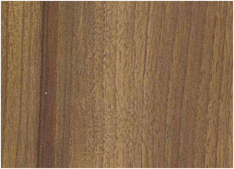 Marine Walnut pre-laminated MDF board by Century Prowud