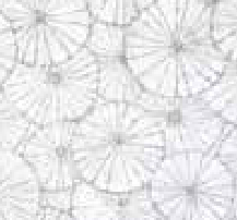 Hohenberger Pearl wallpaper swatch