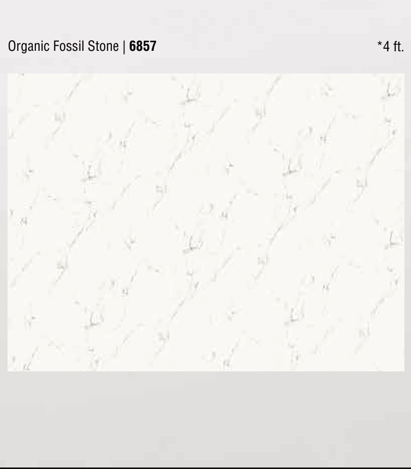 Organic Fossil Stone pre-laminated MDF board by Century Prowud