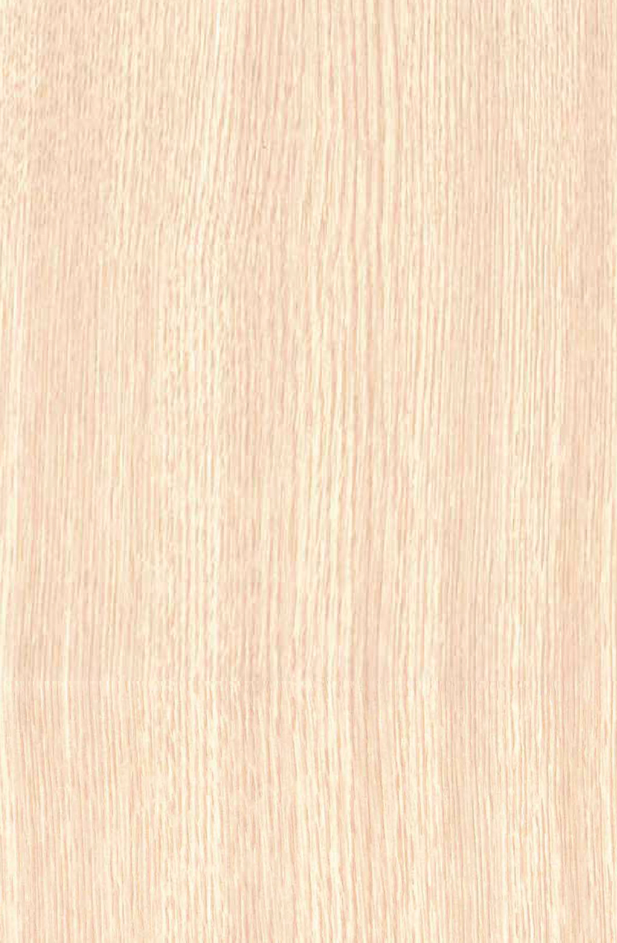 Golden Oak Pre-Laminated MDF 8*4 ft 18 mm - 7144