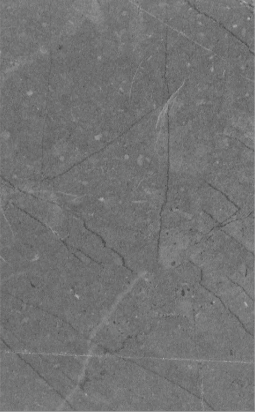 Pietra Grey pre-laminated MDF board by VIR MDF