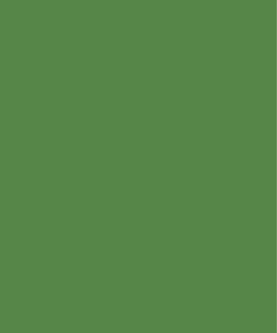 Green plain laminate wall panel with high gloss finish and smooth surface texture.