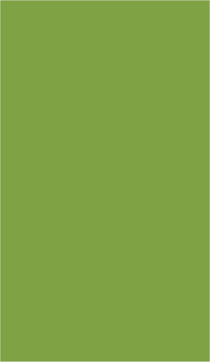 Green high gloss plain laminate wall panel with uniform color and shiny finish
