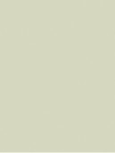 Beige high gloss plain laminate wall panel with smooth finish and no pattern or texture visible in the image.