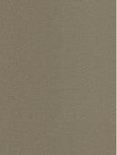 Beige high gloss plain laminate wall panel with smooth finish and subtle texture