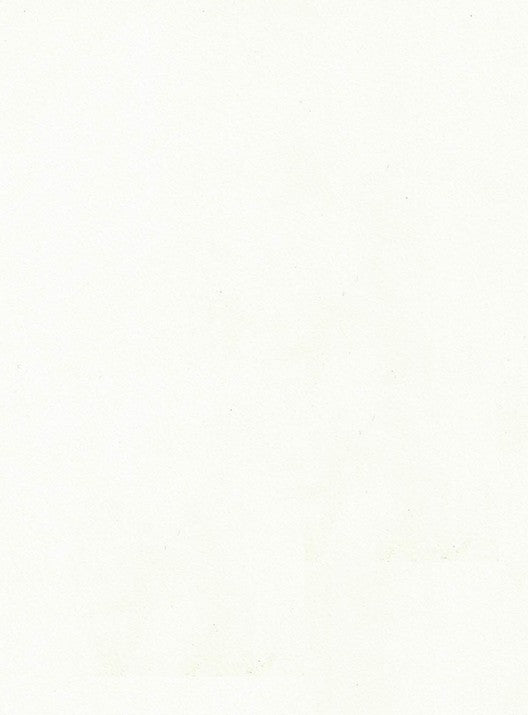 1002 HGF OFF WHITE Ivory Plain Colors High Gloss Laminate - AmulyaMica