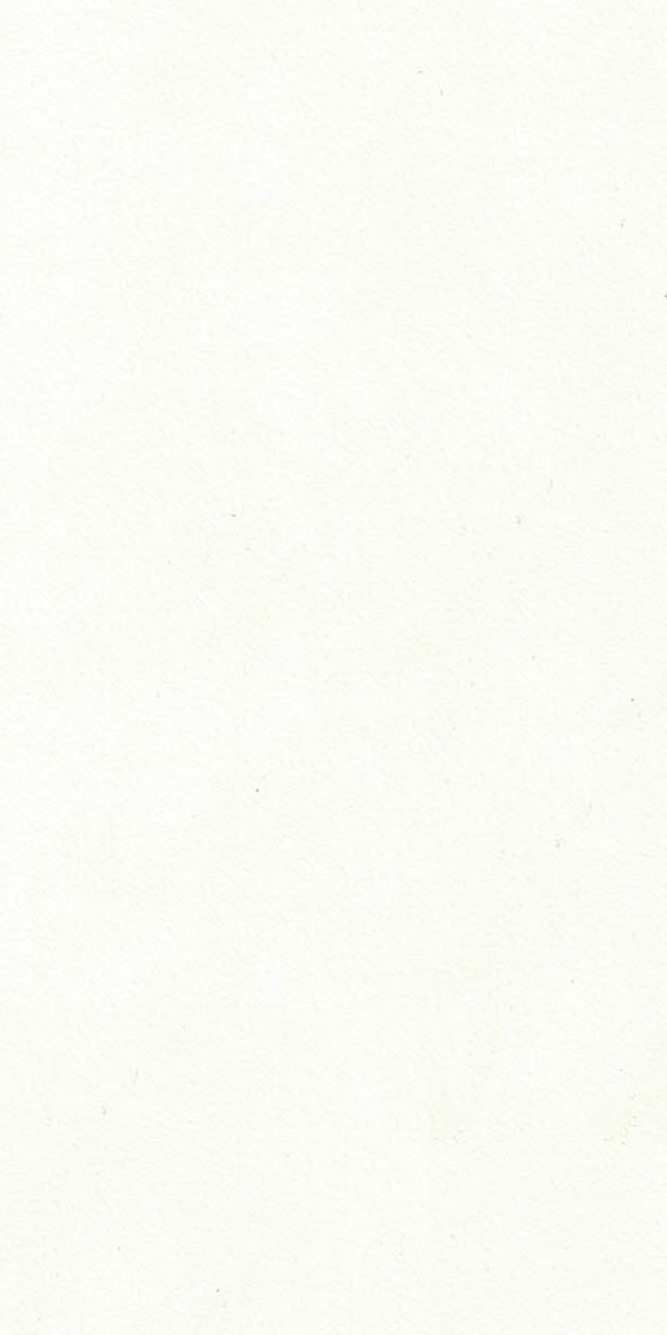 1002 RO OFF WHITE White Plain Colors Gloss Laminate - AmulyaMica