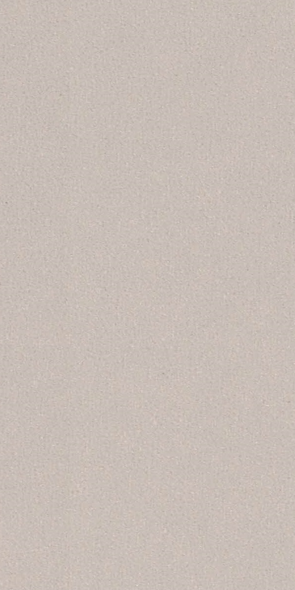 10032 FLT METAL BEIGE Beige Metallic Gloss Laminate - AmulyaMica