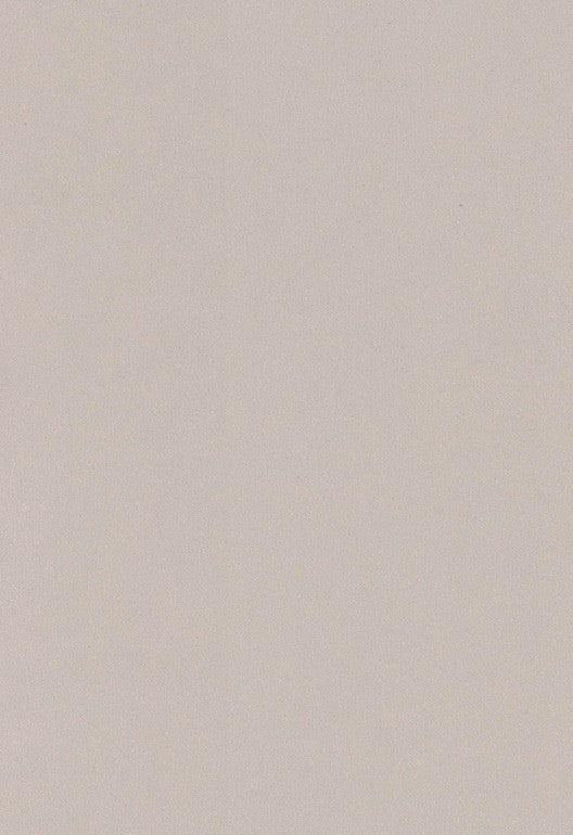 10032 SU METAL BEIGE Beige Metallic Gloss Laminate - AmulyaMica