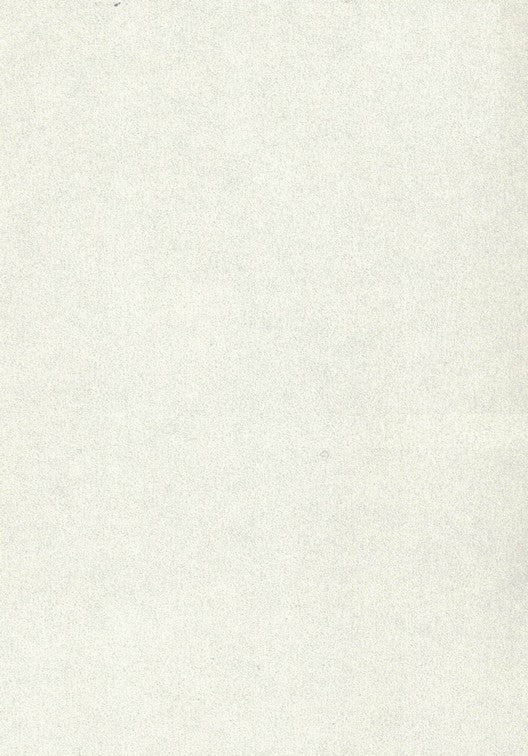 10034 MFT METAL WHITE White Metallic Matte Laminate - AmulyaMica