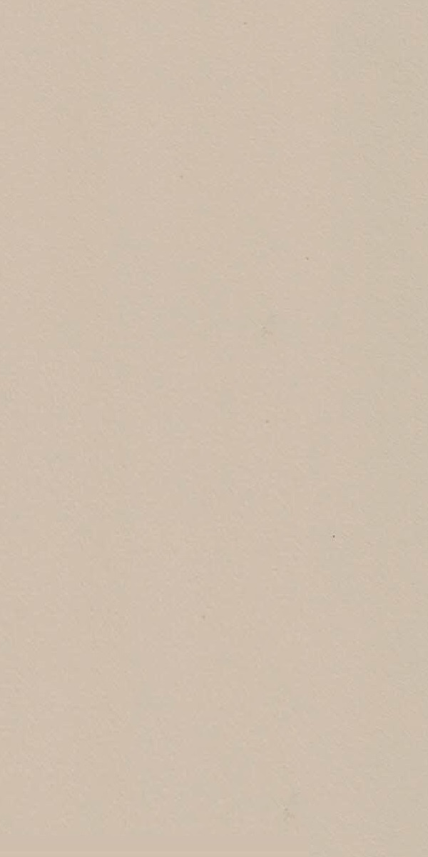 1010 SF PEANUT Beige Plain Colors Suede Laminate - AmulyaMica