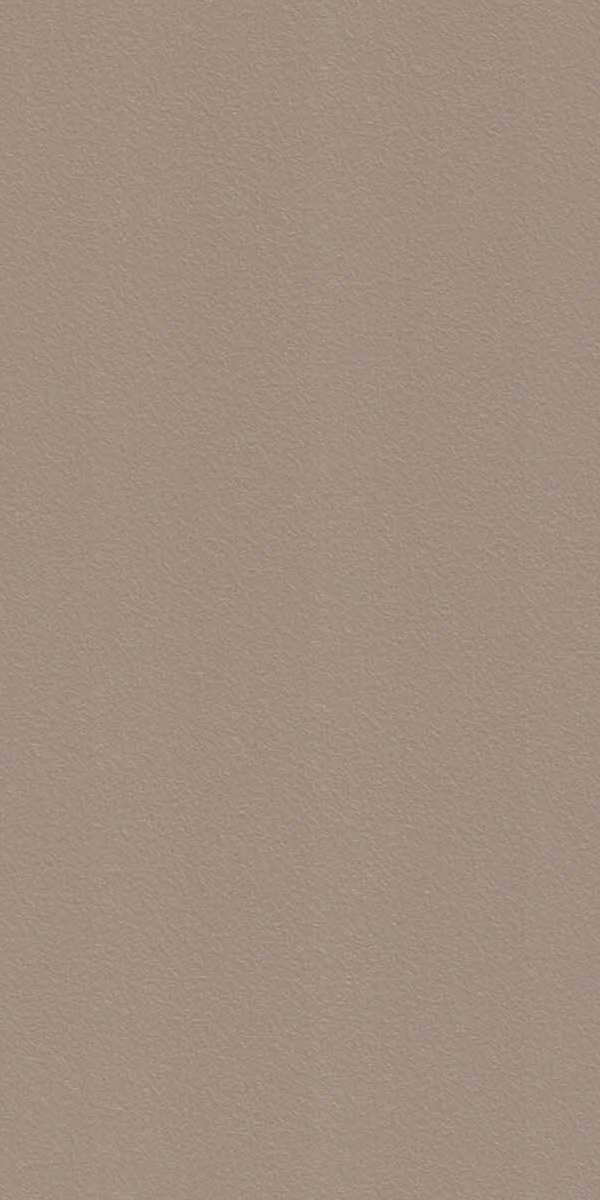 1011 SF MUD ASH Beige Plain Colors Suede Laminate - AmulyaMica