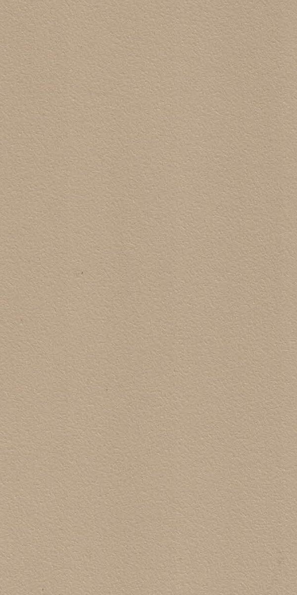 1016 SF DOESKIN Beige Fabric Suede Laminate - AmulyaMica
