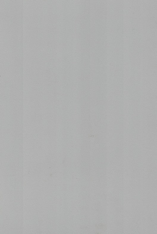 1017 SF WARM GREY Grey Plain Colors Suede Laminate - AmulyaMica