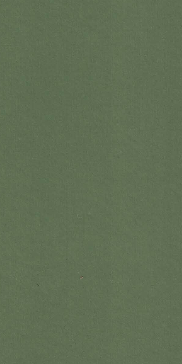 1031 FLT EUCALYPTUS GREEN Green Plain Colors Gloss Laminate - AmulyaMica