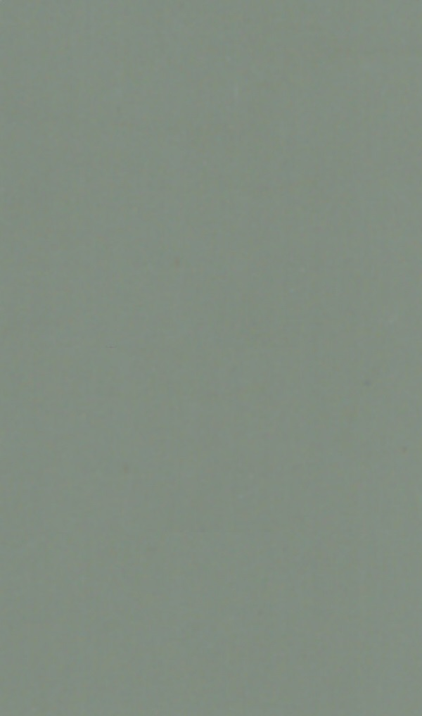 1041 SF ALOE VERA Grey Plain Colors Suede Laminate - AmulyaMica
