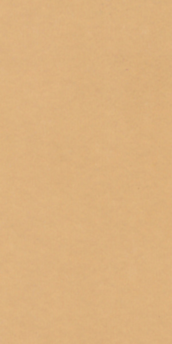 1047 SF PAVLOVA Beige Plain Colors Suede Laminate - AmulyaMica