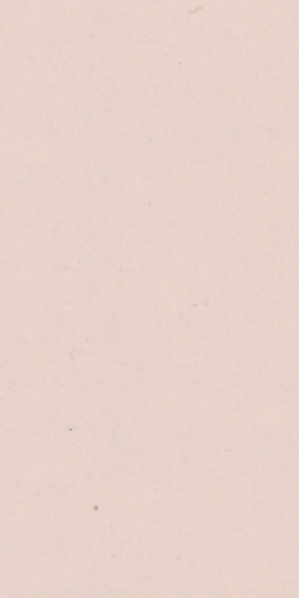 1050 ZR TIDAL SAND Ivory Plain Colors Gloss Laminate - AmulyaMica