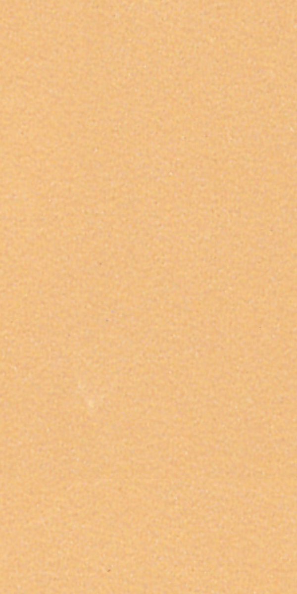 1058 ZR CORAL LEAF Beige Plain Colors Gloss Laminate - AmulyaMica