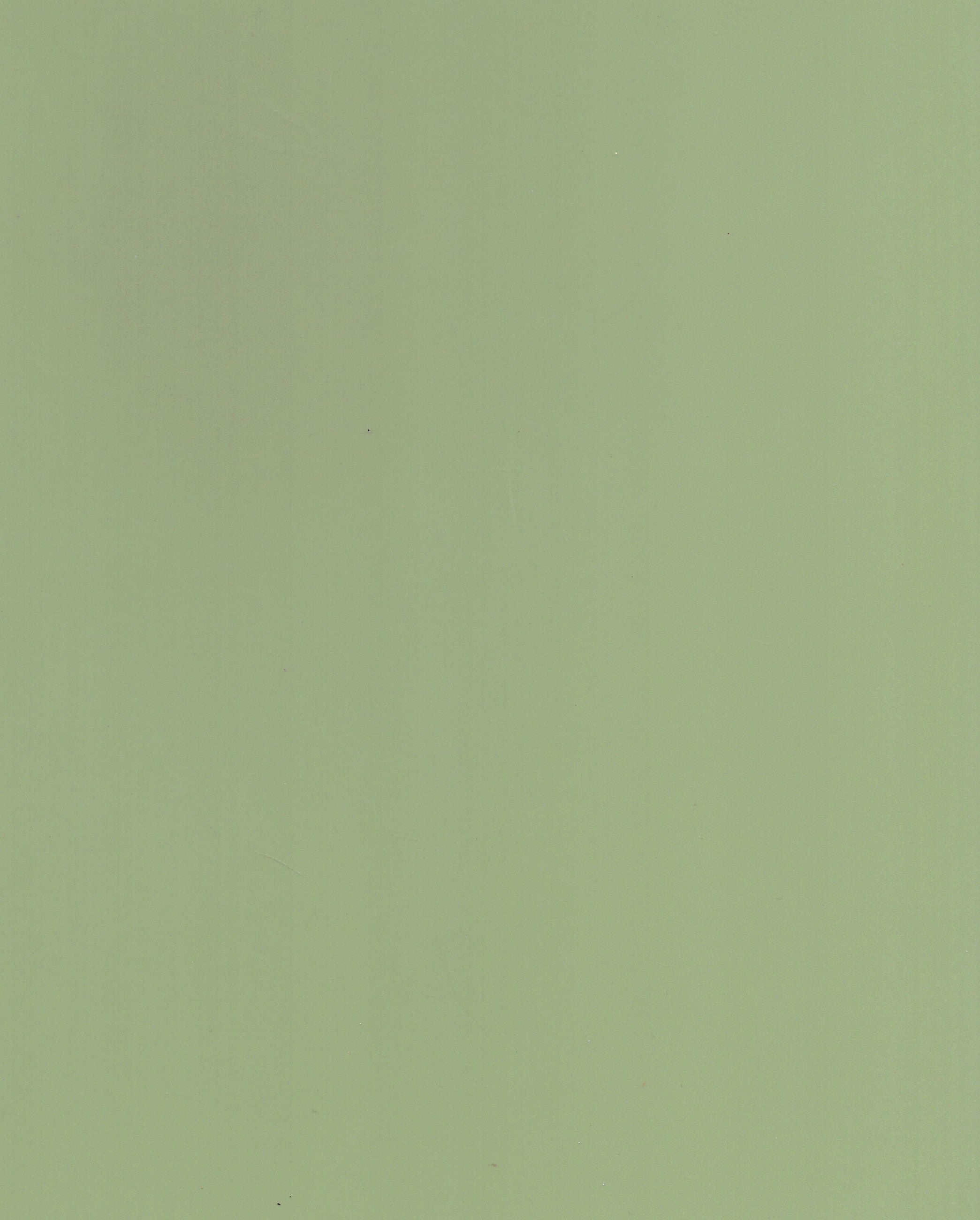 1066 GMF PALE GREEN Green Plain Colors Gloss Laminate - AmulyaMica