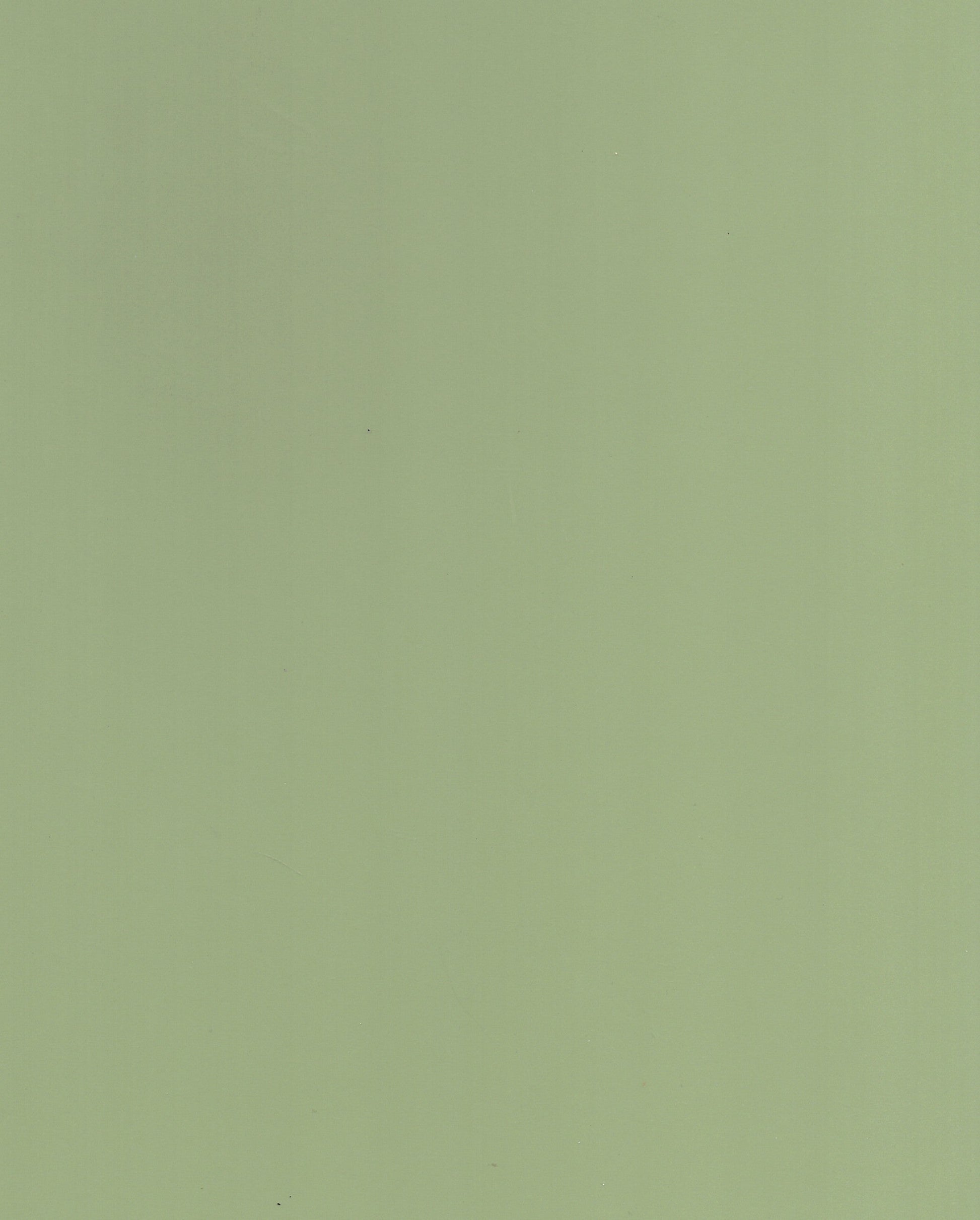 1066 SF PALE GREEN Green Plain Colors Suede Laminate - AmulyaMica