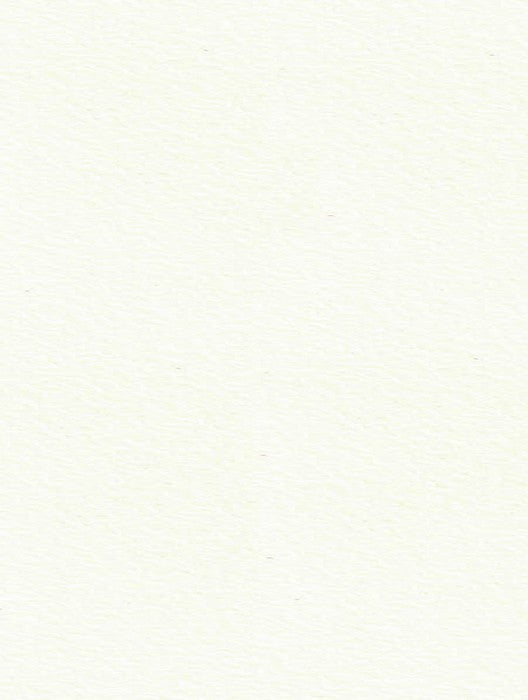 1102 SF MYSORE IVORY Ivory Plain Colors Suede Laminate - AmulyaMica
