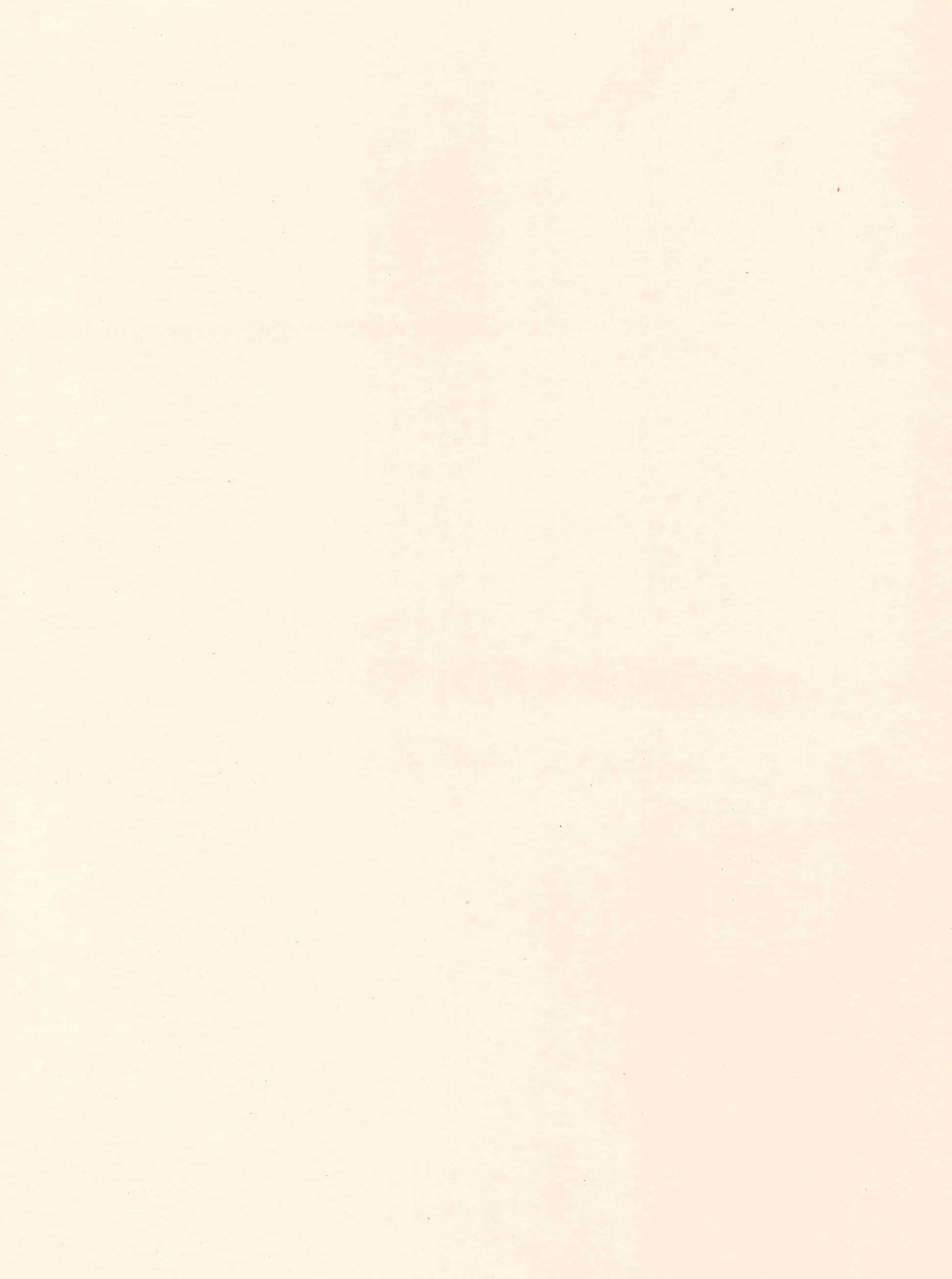 115000 AS ALMOND IVORY Cream Plain Colors Gloss Laminate - AmulyaMica