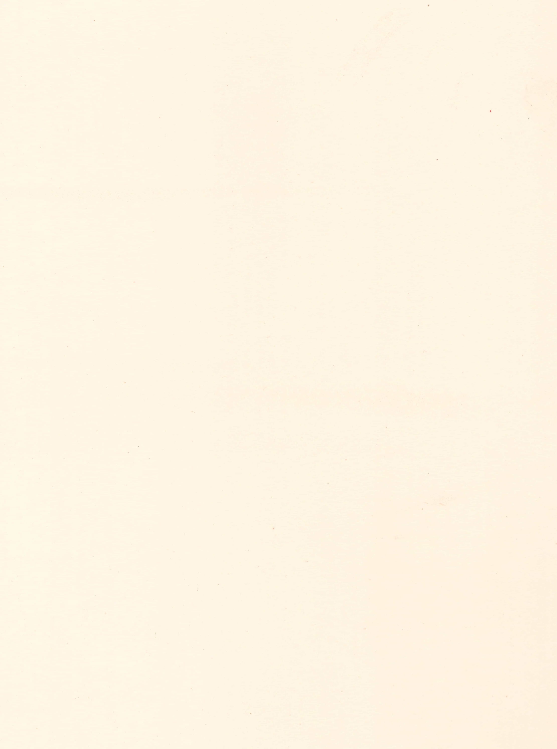 115000 AS ALMOND IVORY Cream Plain Colors Gloss Laminate - AmulyaMica