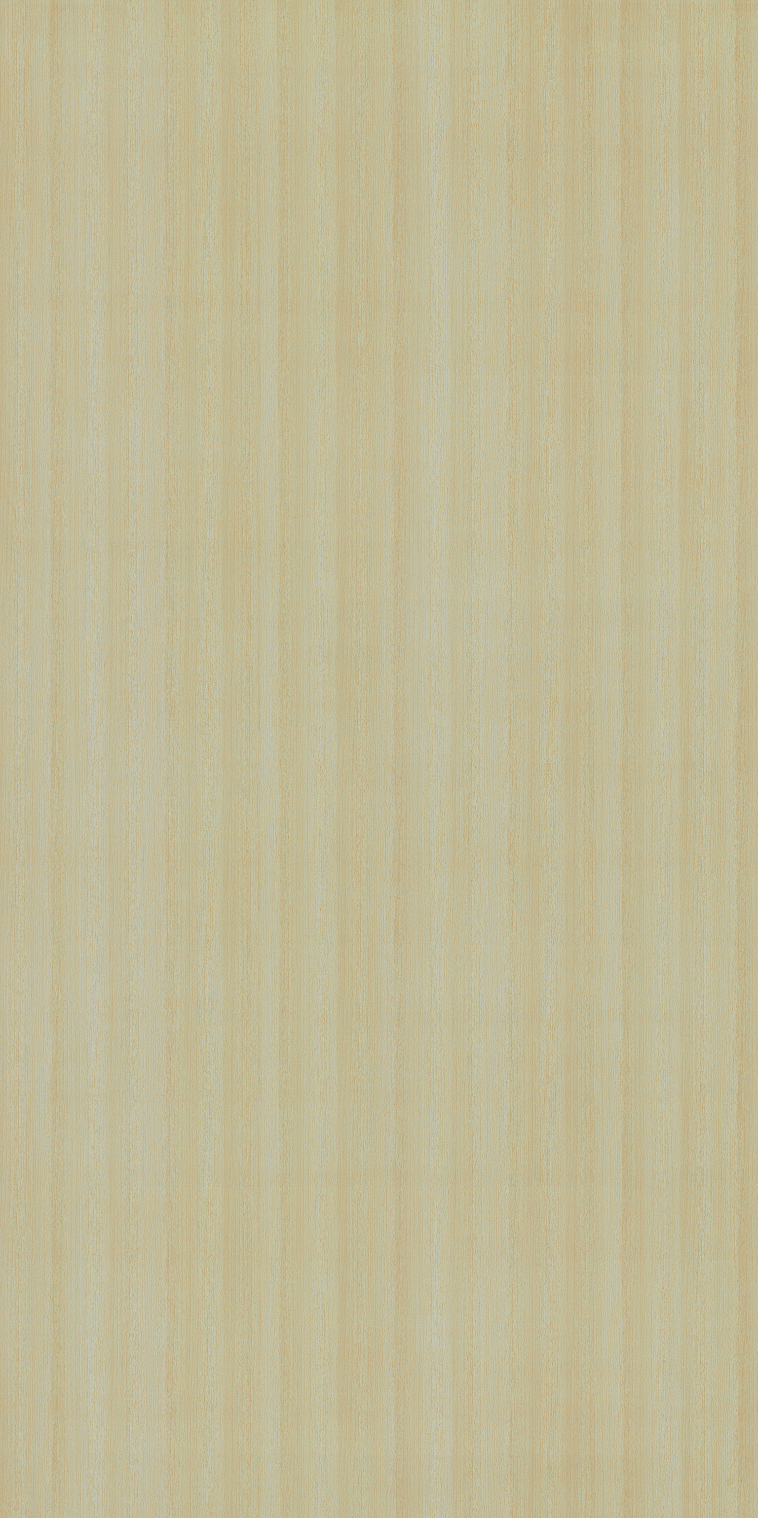 2013 SF WHITE BEECH Beige Wood Suede Laminate - AmulyaMica