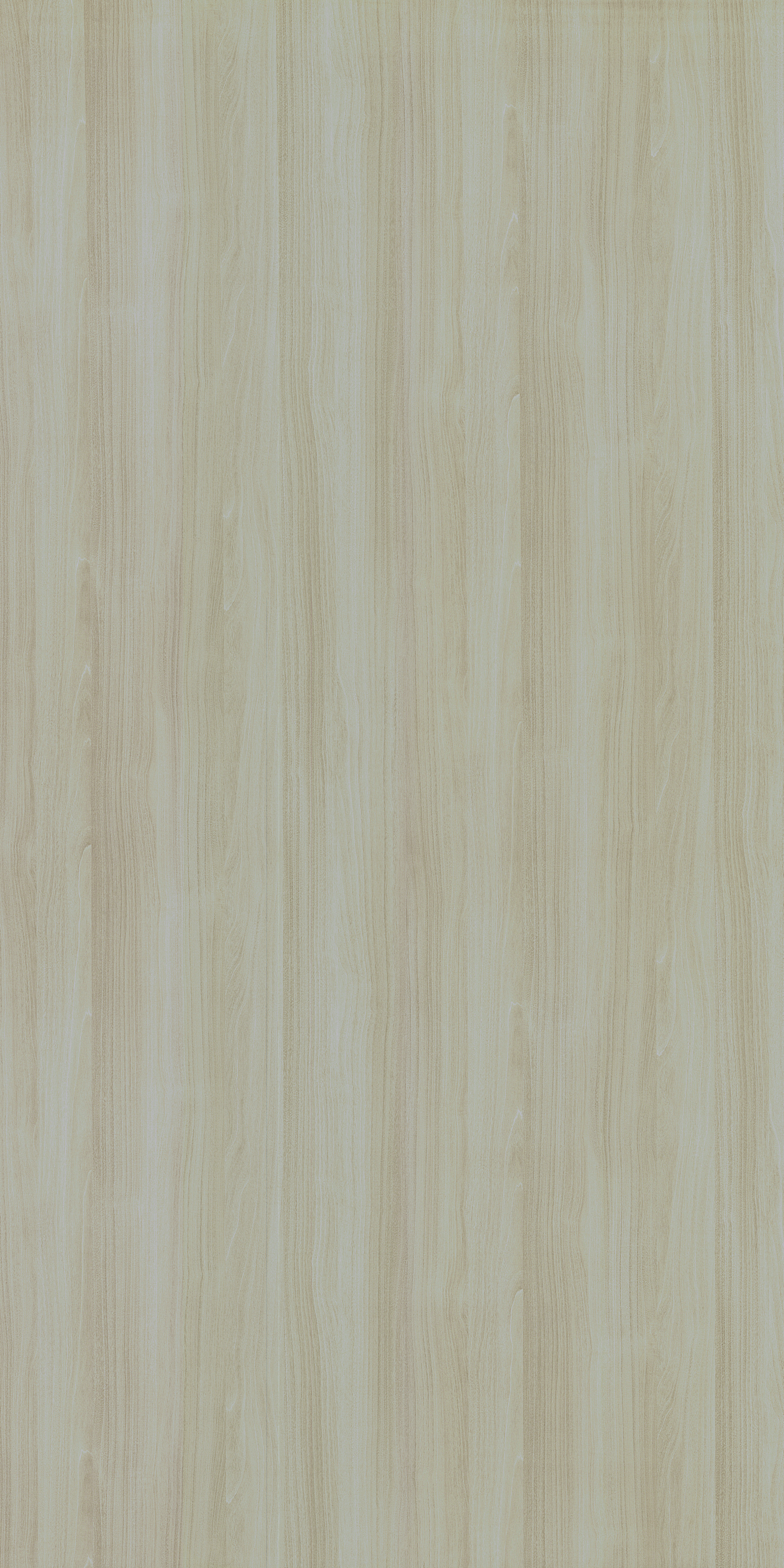 2016 SF WYOMING MAPLE WHITE Beige Wood Suede Laminate - AmulyaMica